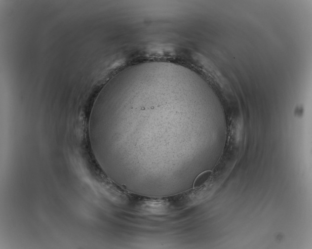 X0000094450659200711151428