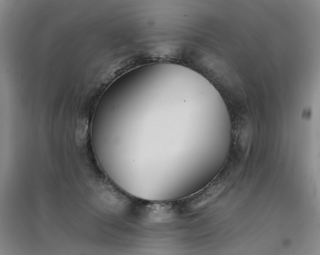 X0000094450660200711151428