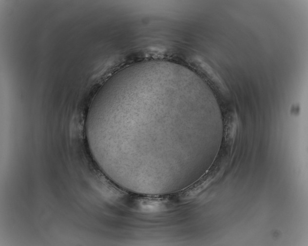 X0000094450661200711151428