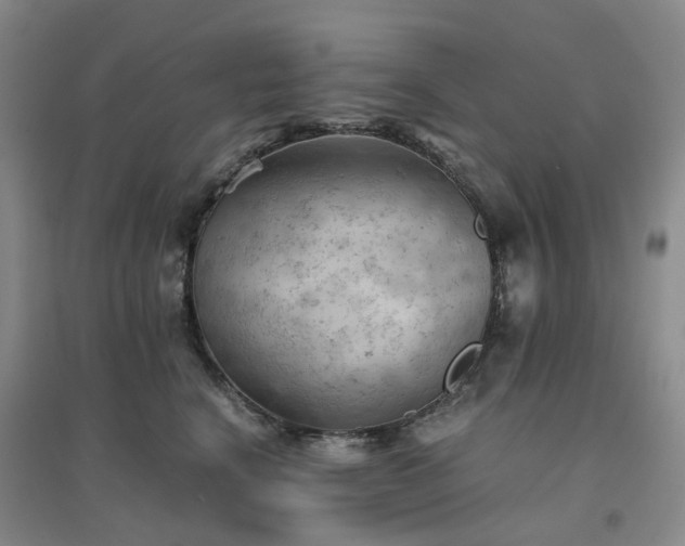 X0000094450664200711151429
