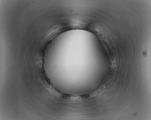 X0000094450666200711151429
