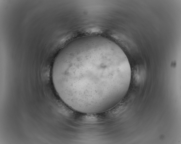 X0000094450668200711151429