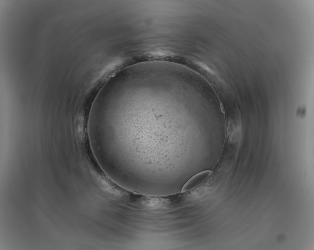 X0000094450670200711151429