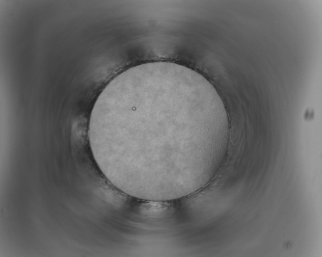 X0000094450672200711151429