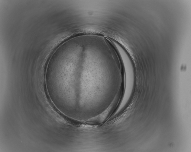 X0000094450673200711151428