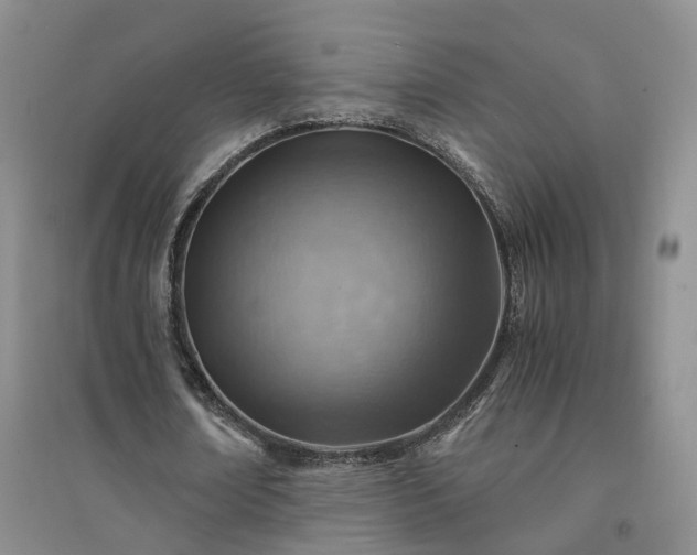X0000094450674200711151428
