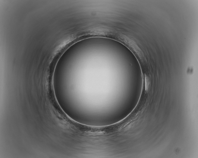 X0000094450675200711151428