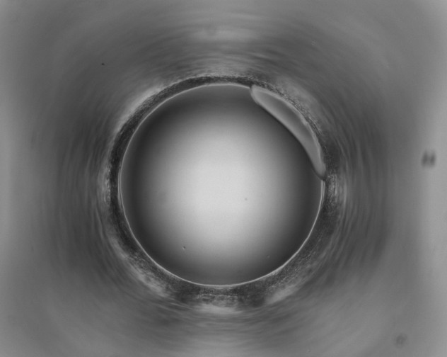 X0000094450676200711151428