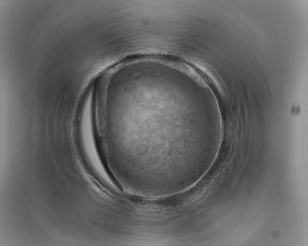 X0000094450677200711151428