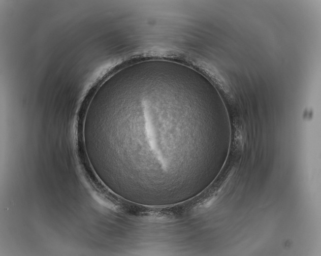 X0000094450678200711151428