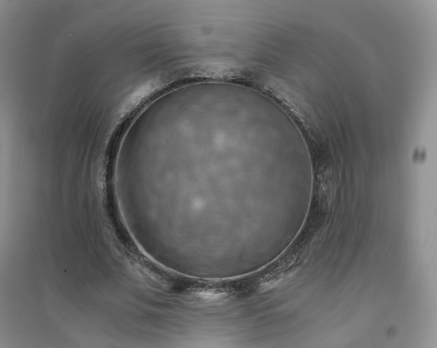 X0000094450679200711151428