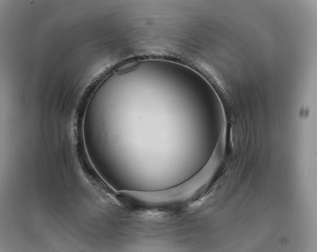 X0000094450680200711151428