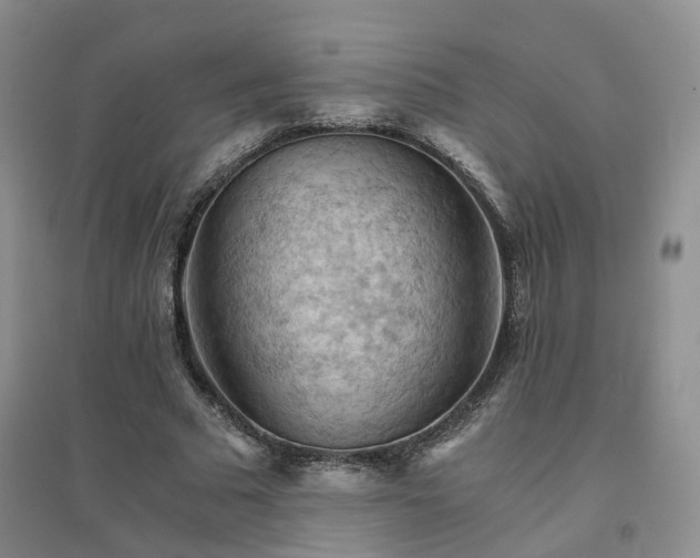 X0000094450681200711151428