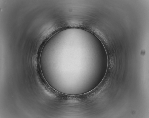 X0000094450682200711151428