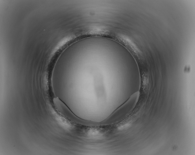 X0000094450684200711151428