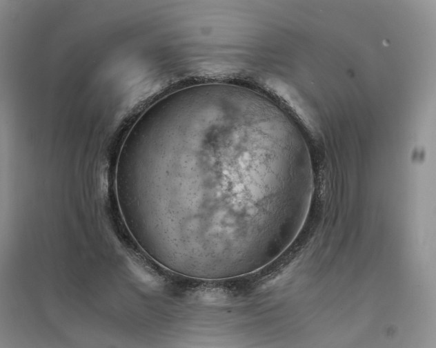 X0000094450685200711151428