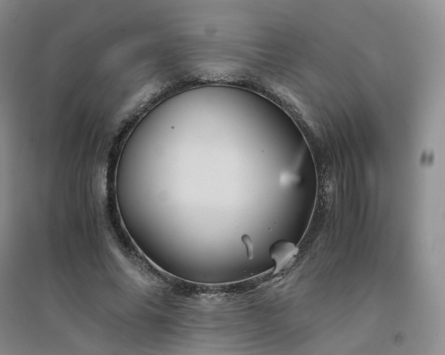X0000094450686200711151428