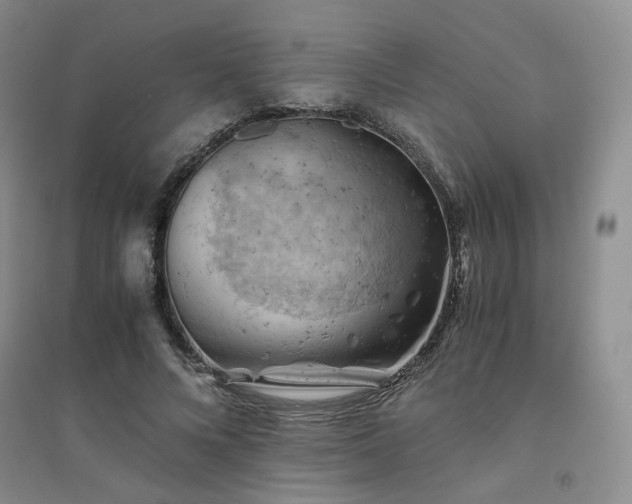 X0000094450688200711151428