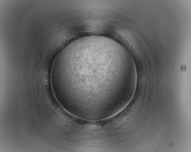 X0000094450689200711151428
