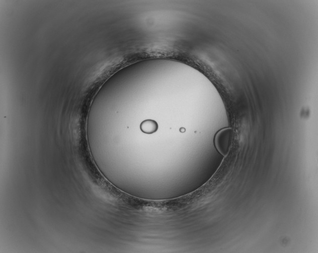 X0000094450690200711151428