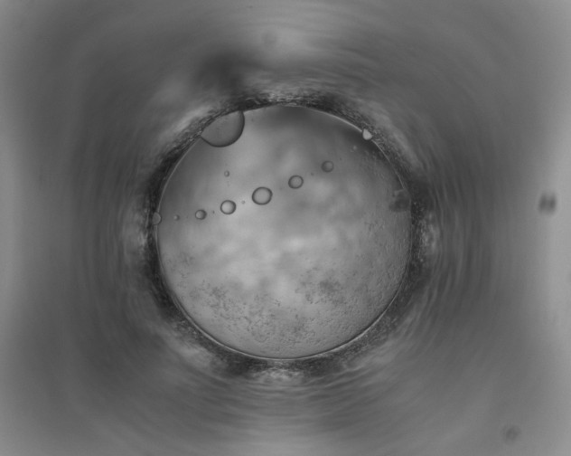 X0000094450691200711151428