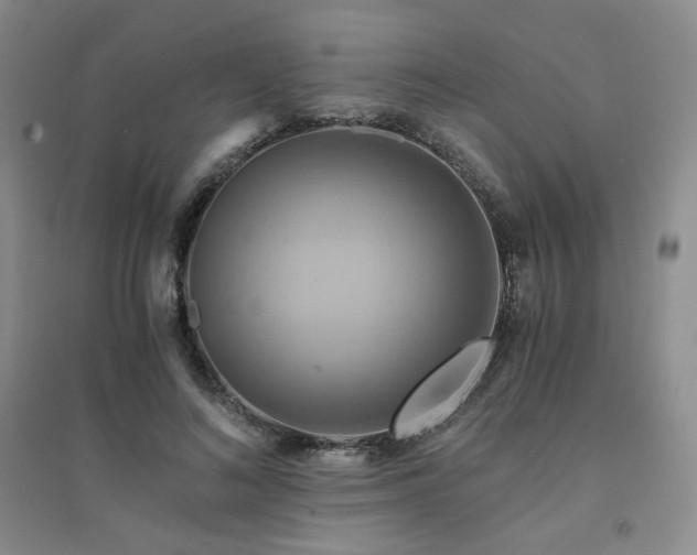 X0000094450692200711151428