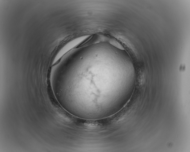 X0000094450693200711151428