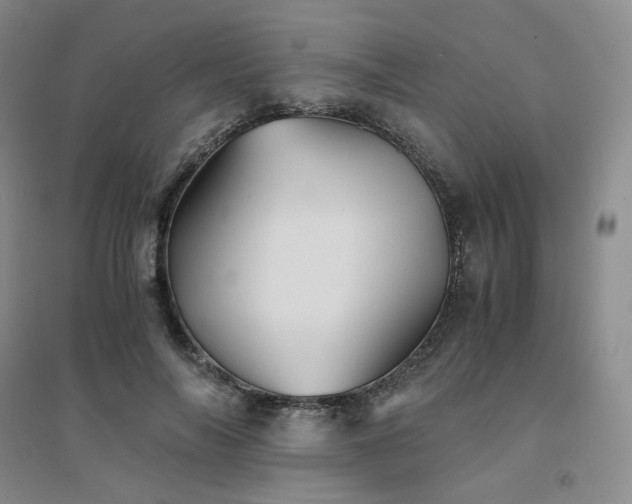 X0000094450694200711151427