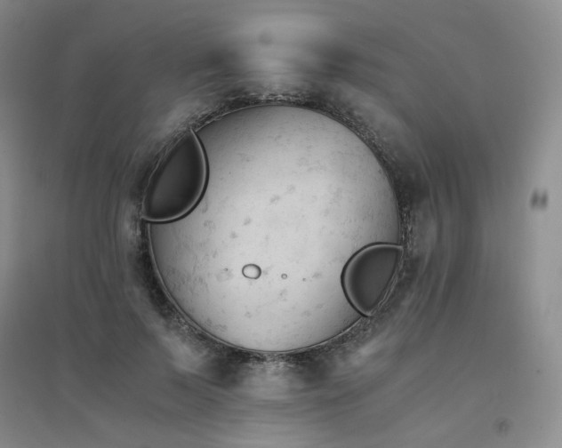 X0000094450695200711151427