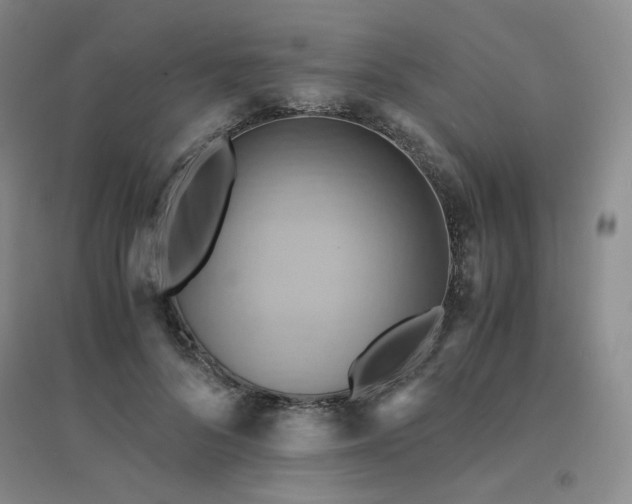 X0000094450696200711151427