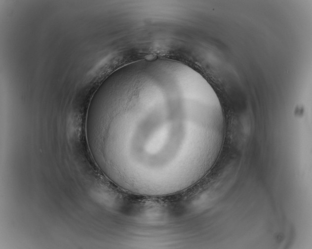 X0000094450697200711151427