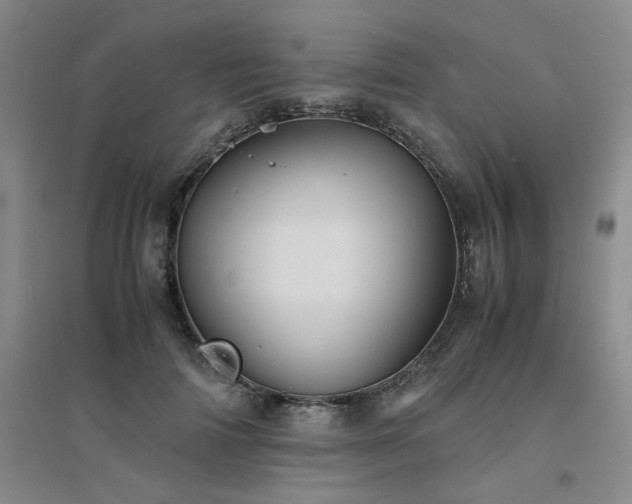 X0000094450698200711151427