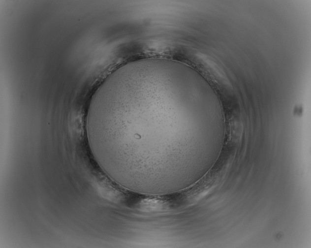 X0000094450699200711151427