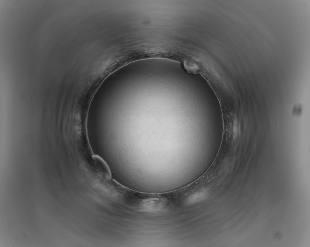 X0000094450700200711151427