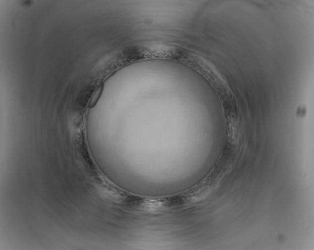 X0000094450701200711151427