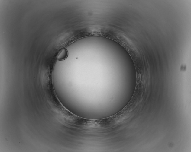 X0000094450702200711151427