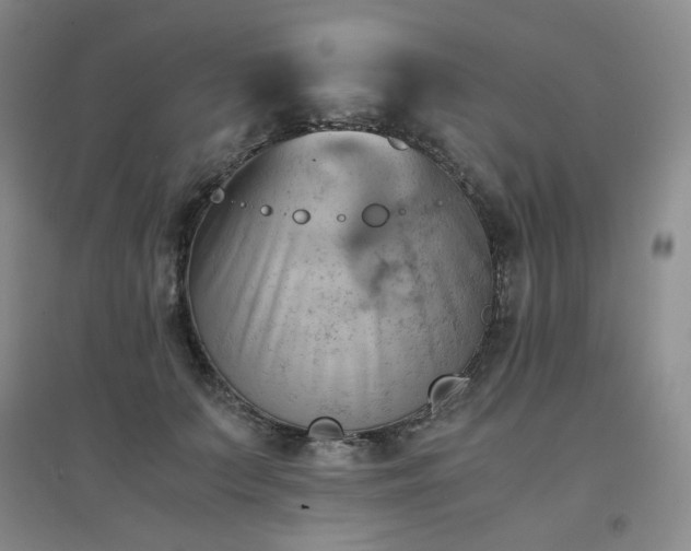 X0000094450703200711151427