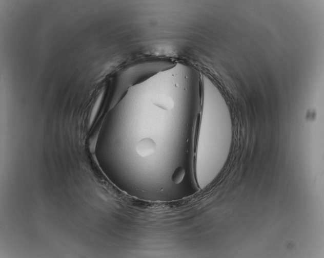 X0000094450704200711151427