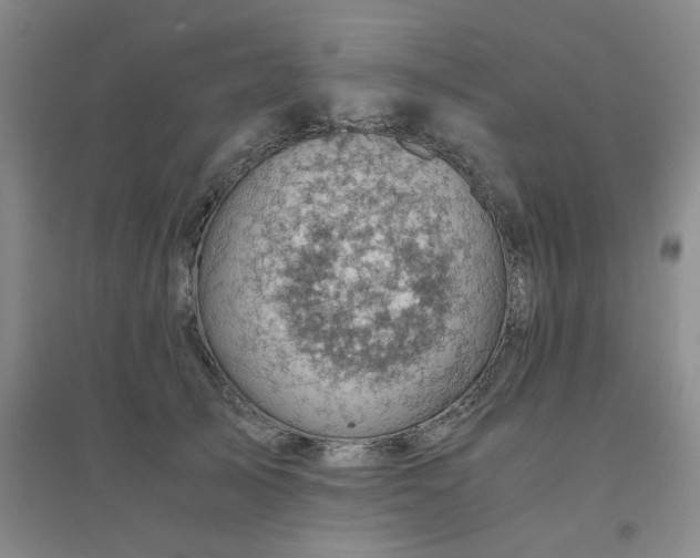 X0000094450705200711151427