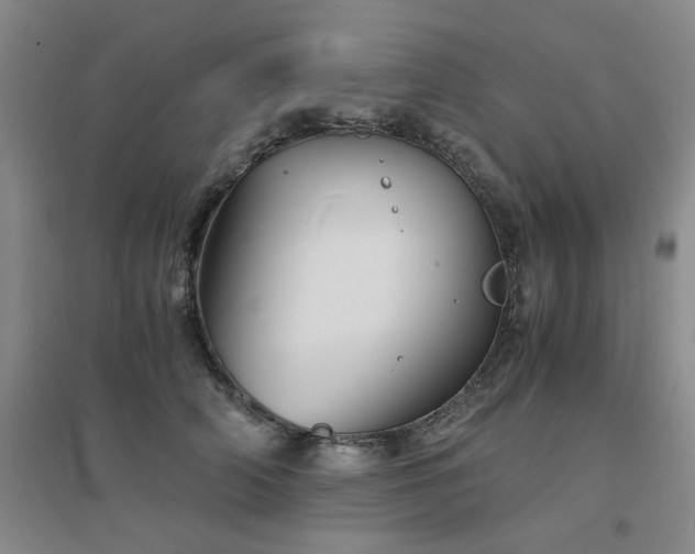 X0000094450706200711151427