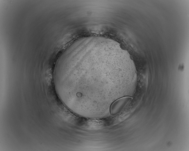 X0000094450707200711151427