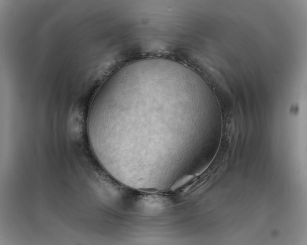 X0000094450708200711151427
