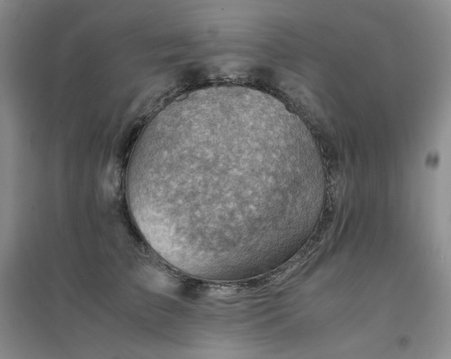 X0000094450709200711151427