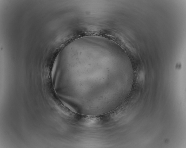 X0000094450711200711151427