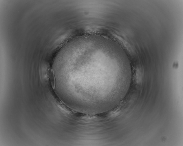 X0000094450712200711151427