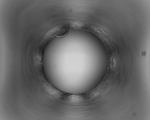 X0000094450714200711151427
