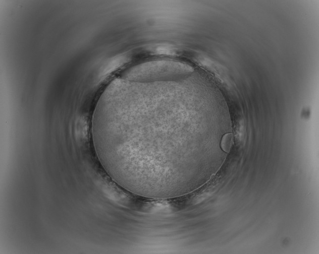 X0000094450715200711151427