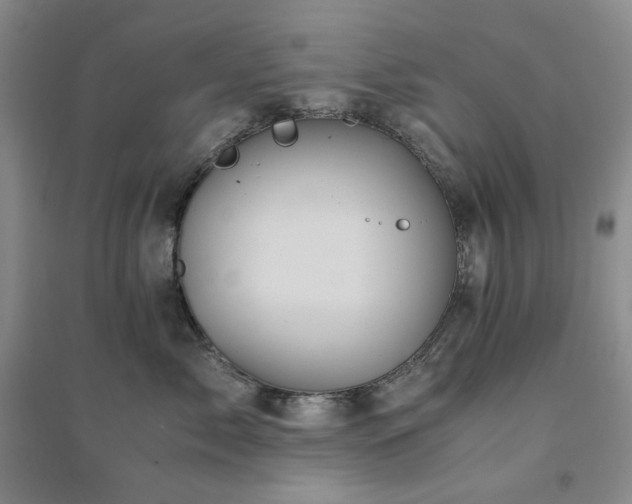 X0000094450717200711151427