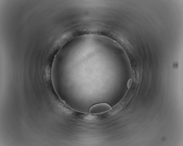 X0000094450718200711151427