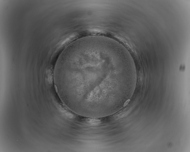 X0000094450719200711151427
